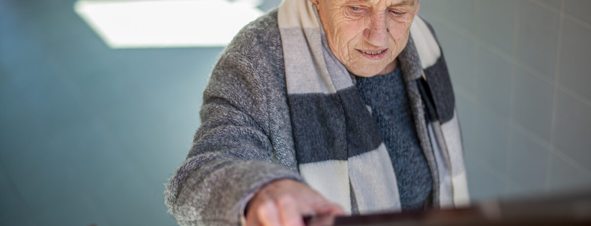 SM Senior Home Services, what this walkthrough covers, Metro Detroit
