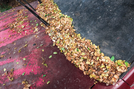 SM Senior Home Services, comfort and usability, part of What this walkthrough covers