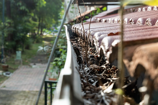 SM Senior Home Services, fences and walls, part of What we do