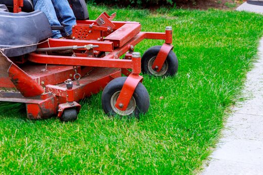 SM Senior Home Services, leaf removal, part of What we do