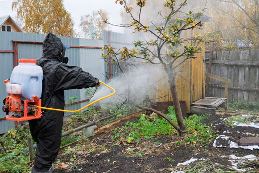 A worker in a black protective suit spraying a backyard garden and a small tree from a backpack sprayer