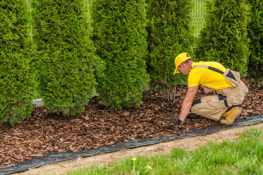 SM Senior Home Services, planting and beds, part of What we do