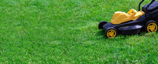 SM Senior Home Services, seasonal yard preparation, part of What we do